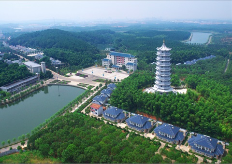 湖北：用好“一张图” ，，智治有支持